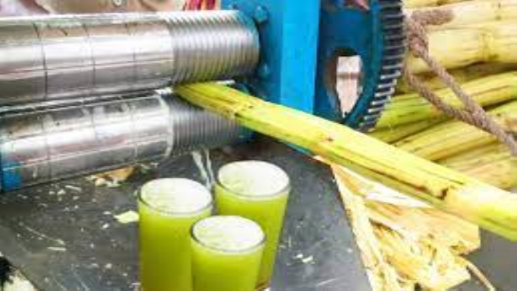sugarcane juice business plan ppt